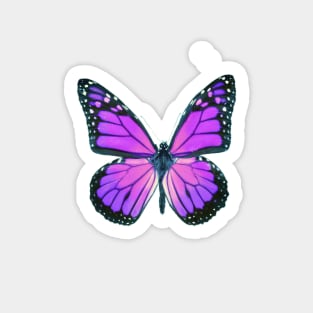 Ultraviolet Butterfly Sticker